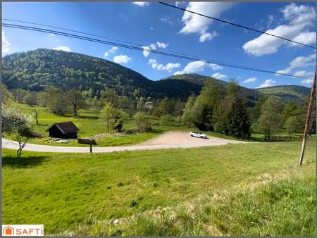 exposition plein sud sur cadre de nature. gérardmer 10 minutes la bresse 15 minutes le hoh