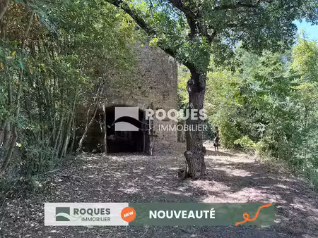 vente locaux professionnels 2 pièces à montjaux (12490)  49 500 €