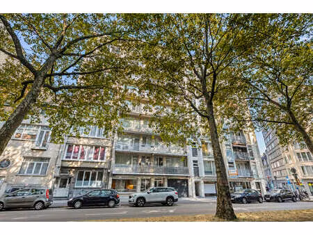 commercieel te koop in antwerpen