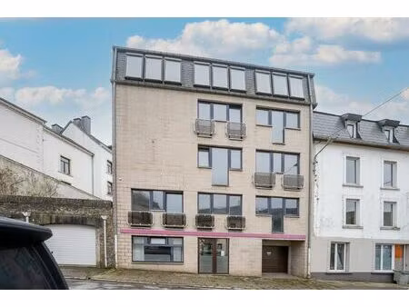 immeuble mixte à vendre avec garage et 19 chambres   bouillon (vbe51997)