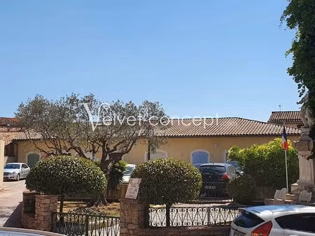 centre village - local professionnel plain pied 152m²