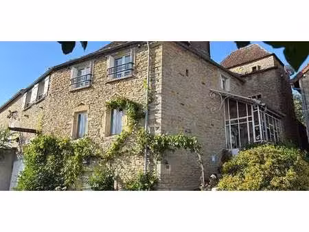 maison avec jardin et terrasse sassangy (71)