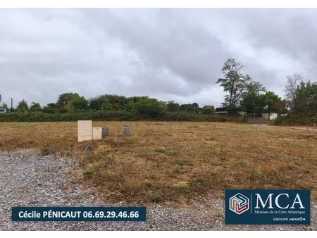 vente terrain 670 m² pomarez (40360)
