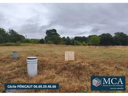 vente terrain 800 m² pomarez (40360)