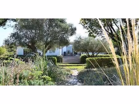 villa avec piscine et terrasse les portes-en-ré (17)