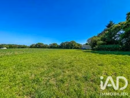 vente terrain à languidic (56440) : à vendre / 481m² languidic