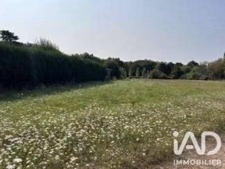 vente terrain à la marolle-en-sologne (41210) : à vendre / 2744m² la marolle-en-sologne