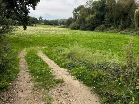 terrain 8500m2 st meloir des onde