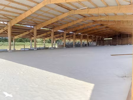 vente terrain 60830 m² aubigny-les clouzeaux (85430)