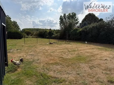 vente terrain à batir 5228 m² à preux-au-bois (59288)  59 900 €