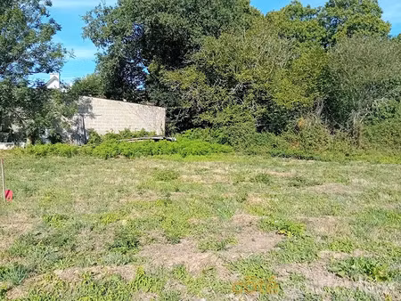 vente terrain 481 m² à languidic (56440)  73 990 €