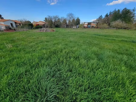vente terrain à batir 3039 m² à saint-martin-la-pallu (86380)  54 000 €