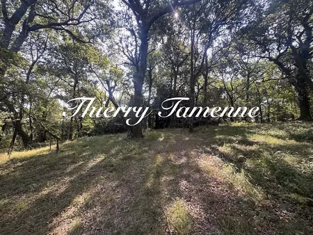 vente terrain à bérenx (64300)  55 000 €