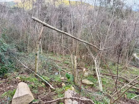 vente terrain à batir 1500 m² à sagone (20118)  115 000 €