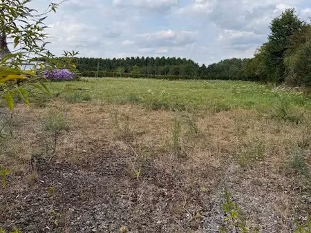 vente terrain à batir 4090 m² à preux-au-bois (59288)  74 900 €