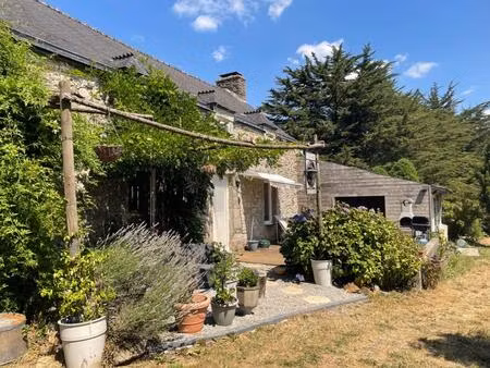 propriété à vendre saint nicolas du pelem (22)