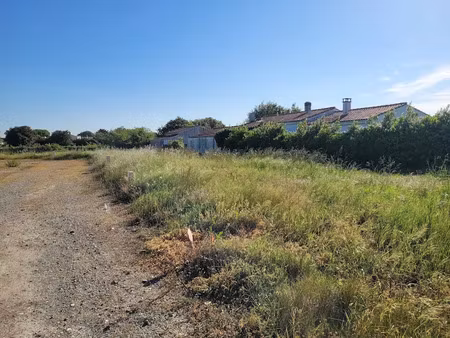 vente terrain 156 m² à dolus-d'oléron (17550)  89 000 €