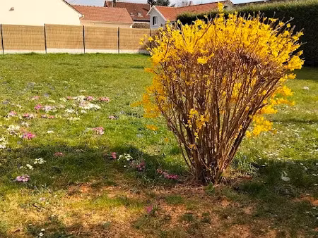 vente terrain 318 m² à coulommiers (77120)  89 000 €
