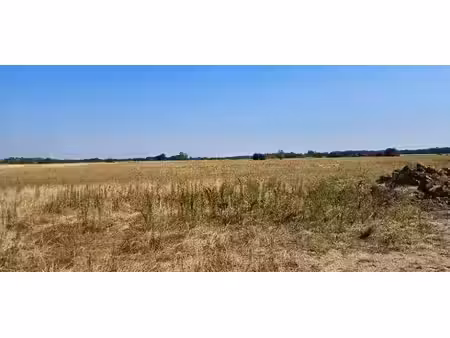 vente terrain 609 m² à lamasquère (31600)  99 000 €