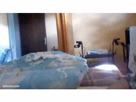 chambre à louer