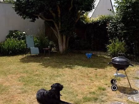 maison familiale et garde d'un labrador à lorient