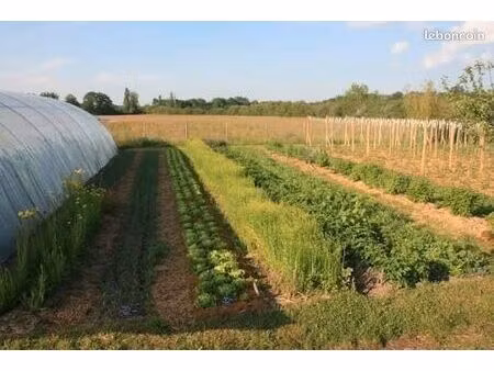 terrain jardin à louer