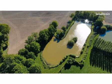 terrain de loisir et de pêche dont 8000m2 d'eau sur 1ha5 de terrain