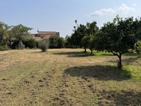 prunelli-di-fiumorbo – terrain à bâtir de 606 m² – 94 900 €