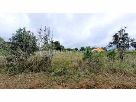 terrain de 11 306 m² à saint-joseph