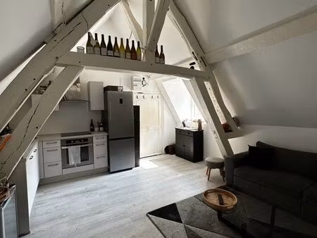 appartement centre