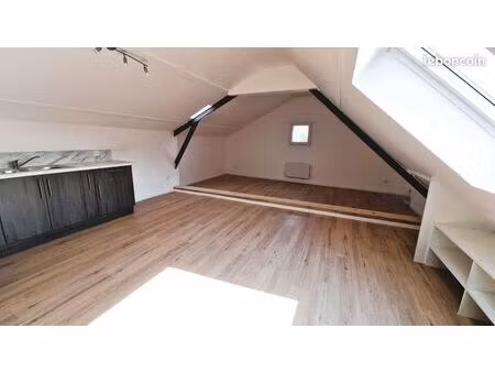superbe appartement t1+ charme – 65 m² - 42m2 loi carrez – lumineux