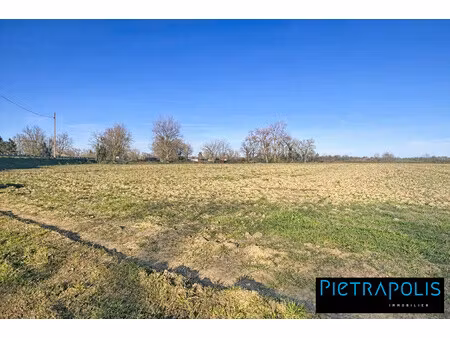 terrain plat constructible