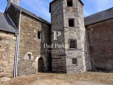 manoir xv è neant sur yvel 730 m² + dépendances sur 1ha 57a