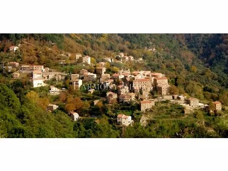 l'âme de la corse à rosazia . idéal maison famille ou création gîte  chambres d'hôtes.