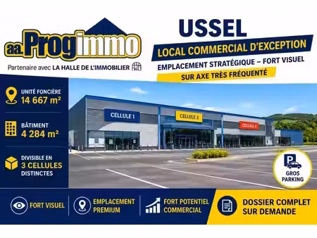 location local d’activités ussel 19200 4284m²