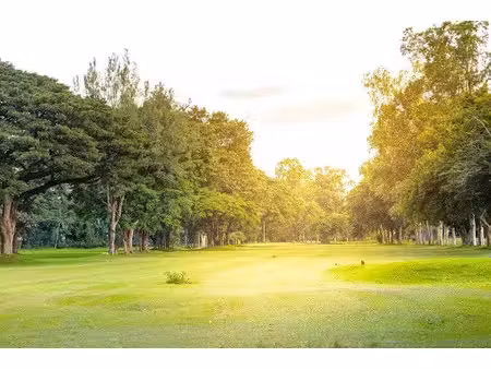 vente terrain 613 m² à vélye (51130)  29 900 €