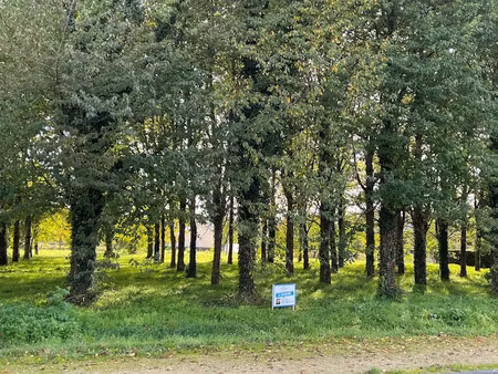 vente terrain 915 m² à vernoil-le-fourrier (49390)  30 000 €
