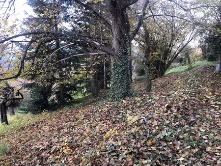 vente terrain 1223 m² à bourg-de-thizy (69240)  25 000 €