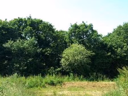 vente terrain à saint-briac-sur-mer (35800) : à vendre / saint-briac-sur-mer