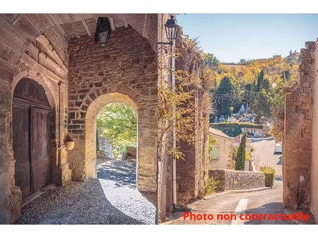 vente maison 15 pièces 373.94 m² à laurac (11270)  349 000 €