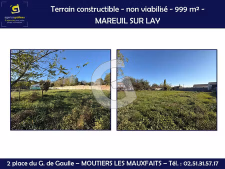 terrain constructible non viabilisé - 999m² - a vendre - mareuil sur lay dissais