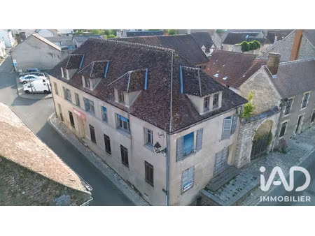 vente commerce 561 m² ouzouer-sur-trézée (45250)