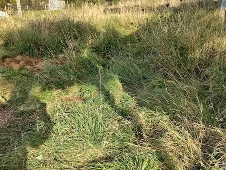 vente terrain 469 m² à beaussais-sur-mer (22650)  108 490 €