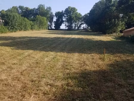 terrain de 1000m2 à bâtir