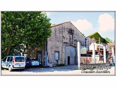 vente propriété 270 m² à capendu (11700)  850 000 €