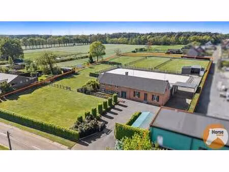 heusden-zolder - hoeve met paardenaccommodatie