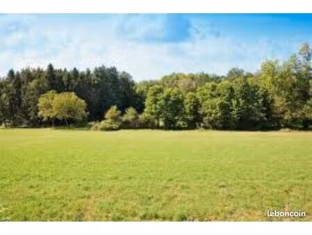recherche terrain viabilisé