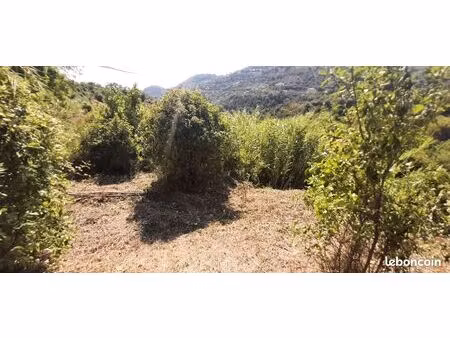 terrain 1 6ha constructible viabilisé