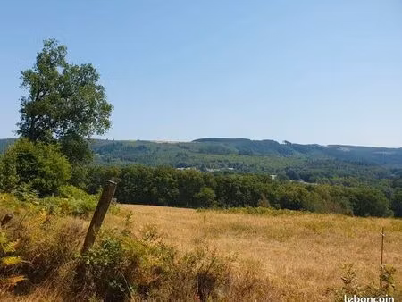 terrain