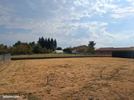 terrain constructible